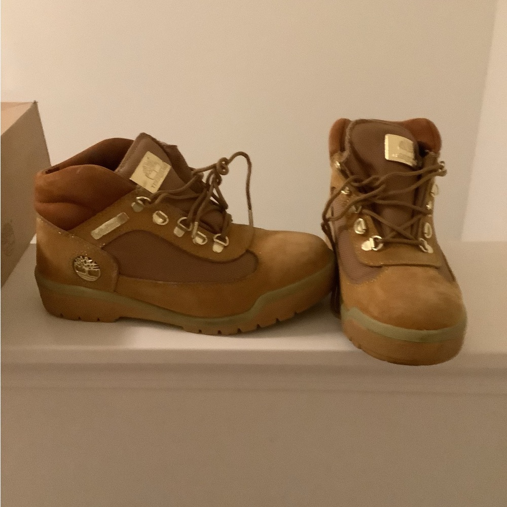 Timberland Hommes Field Boots